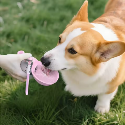 bebedero para perros